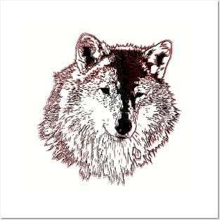 Wild Head Wolf Posters and Art